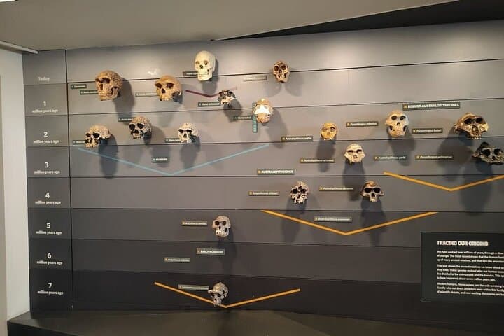 Highlights Guided Tour of London's Natural History Museum photo 4