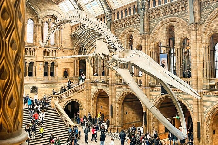 Highlights Guided Tour of London's Natural History Museum photo 6