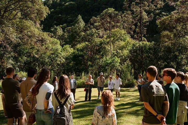 Foot of the Cascade: Guided Trail to the Base of Caracol Falls from Canela