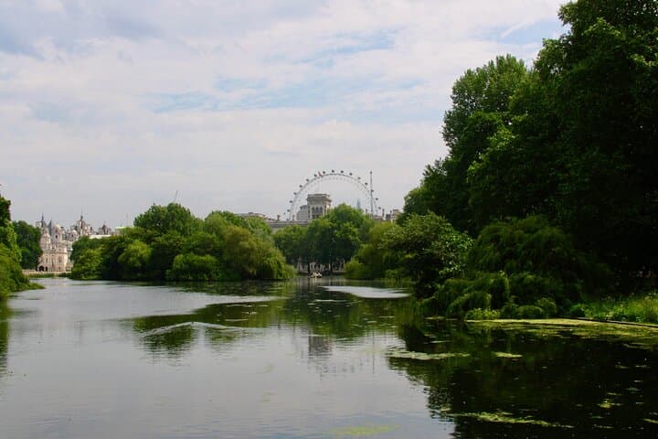 Explore London in a Day: Foot, Tube, Bus & Thames Boat Tour photo 4