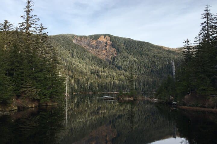 Ketchikan Tongass Rainforest Wildlife Tour: Bears, Eagles & Salmon photo 3