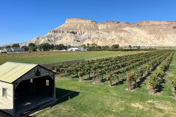 Luxury Palisade Wine Tour: Limo Tasting Through Colorado's Orchard and Vineyard Country photo 4