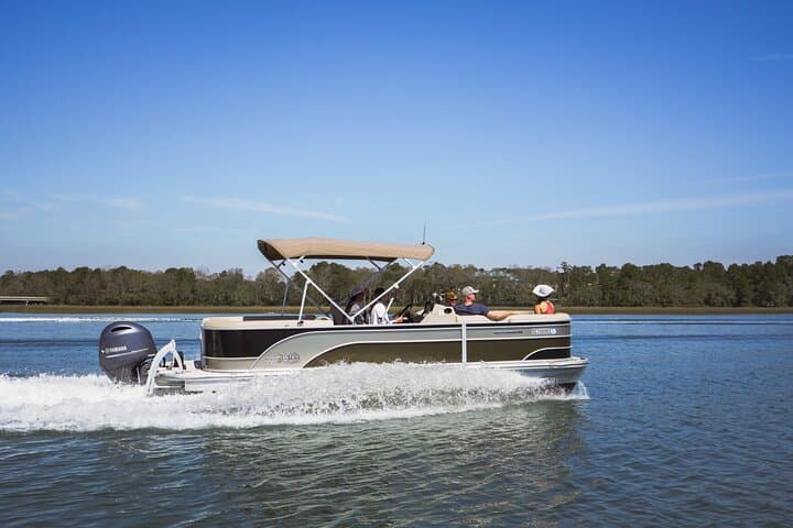Morning Dolphins and Donuts: A Small‑Group Cruise Around Hilton Head photo 6