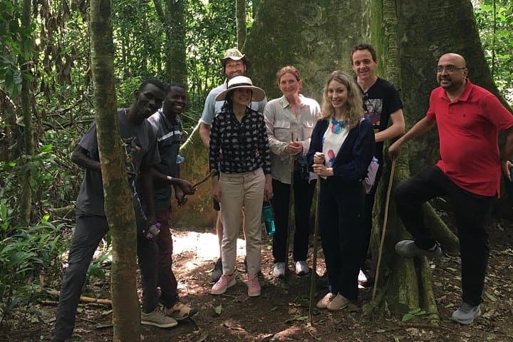 Jinja Day Trip: Mabira Forest, Sezibwa Falls & the Source of the Nile photo 3