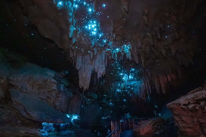 Milkyway Glowworm Cave Tour from Auckland — Northland Day Trip photo 3