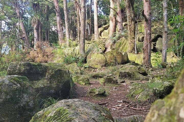 Milkyway Glowworm Cave Tour from Auckland — Northland Day Trip photo 6