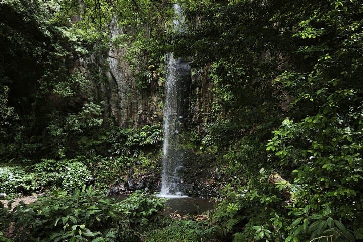 Peak to Coast: East Madeira 4x4 Adventure from Funchal photo 2