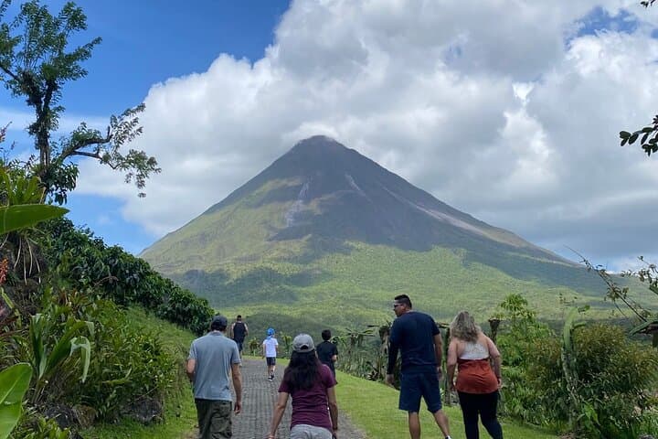 Arenal Volcano & Ecotermales Hot Springs Day Trip from San José photo 3