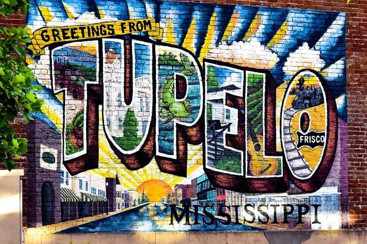 Elvis Tupelo Roots: Full-Day Private Tour from Memphis