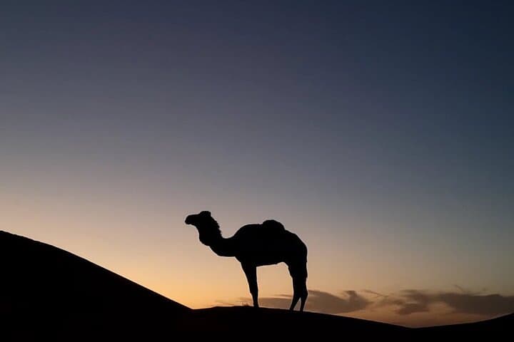 Agafay Desert Quad and Sunset Camel Ride with Dinner & Show from Marrakech