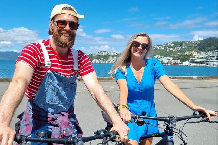 Self-Guided Wellington Electric Bike Rental From Waterfront To Mt Victoria photo 1