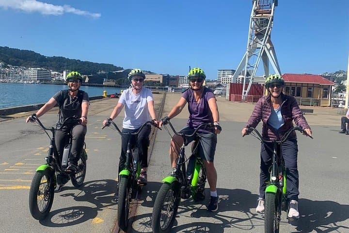 Self-Guided Wellington Electric Bike Rental From Waterfront To Mt Victoria photo 4