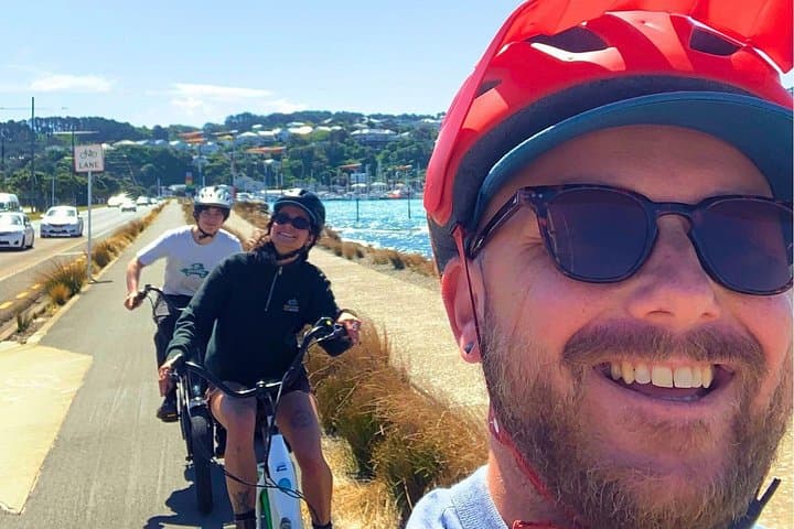Self-Guided Wellington Electric Bike Rental From Waterfront To Mt Victoria photo 3