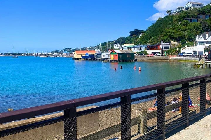 Self-Guided Wellington Electric Bike Rental From Waterfront To Mt Victoria photo 2