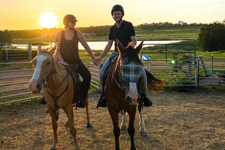 Hunter Valley Sunset Horse Ride — 90-Minute Twilight Trail Ride photo 5