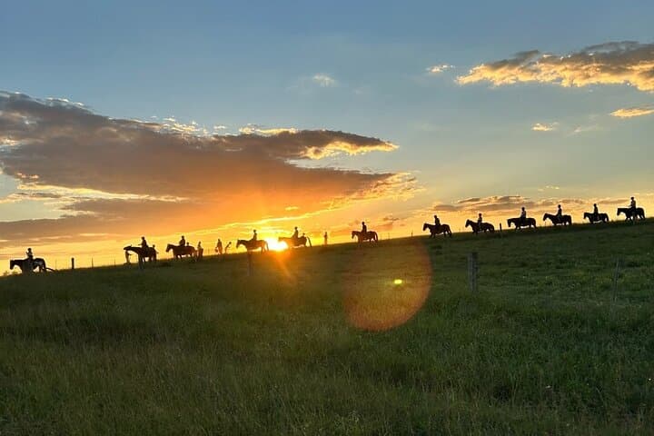Hunter Valley Sunset Horse Ride — 90-Minute Twilight Trail Ride