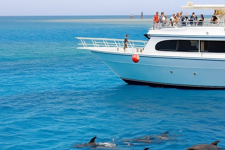 Swim with Wild Dolphins and Snorkel Hurghada's Coral Reefs
