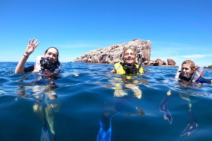 Snorkel with Sea Lions at Isla Espíritu Santo — La Paz Boat Tour photo 2