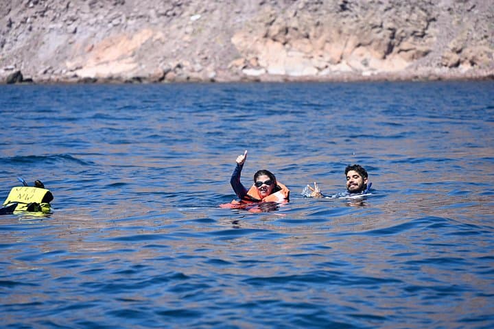 Snorkel with Sea Lions at Isla Espíritu Santo — La Paz Boat Tour photo 4