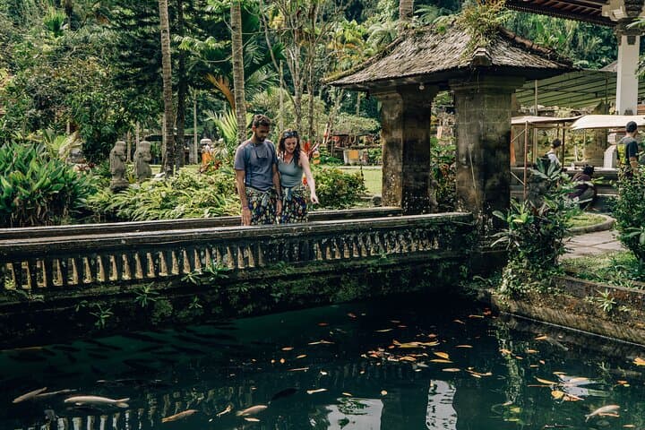 Full-Day Ubud Shore Excursion — Monkey Forest, Rice Terraces & Waterfalls photo 6