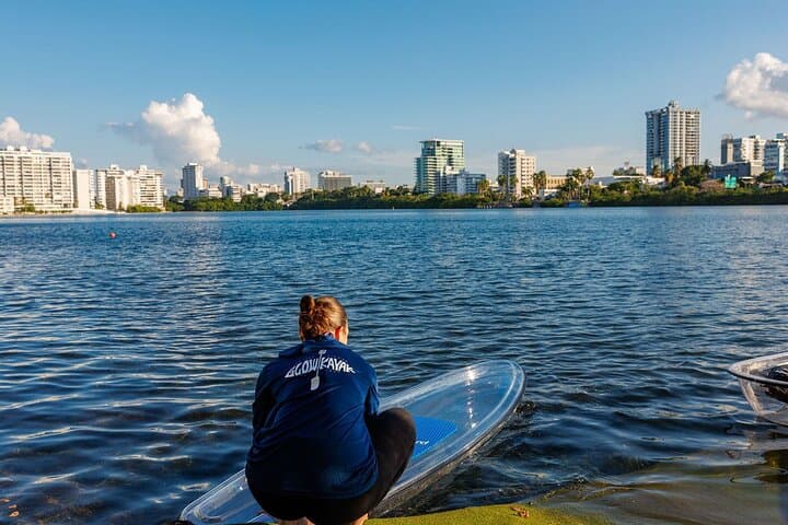 Glass-Bottom SUP Rentals in Condado Lagoon: Self-Guided Paddle in San Juan photo 3