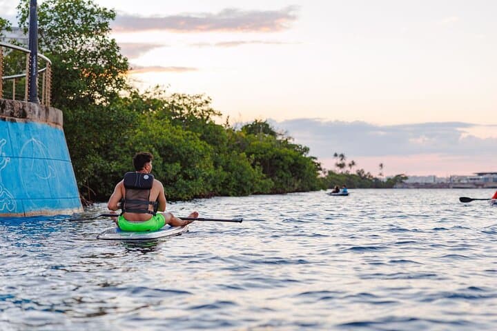 Glass-Bottom SUP Rentals in Condado Lagoon: Self-Guided Paddle in San Juan photo 4