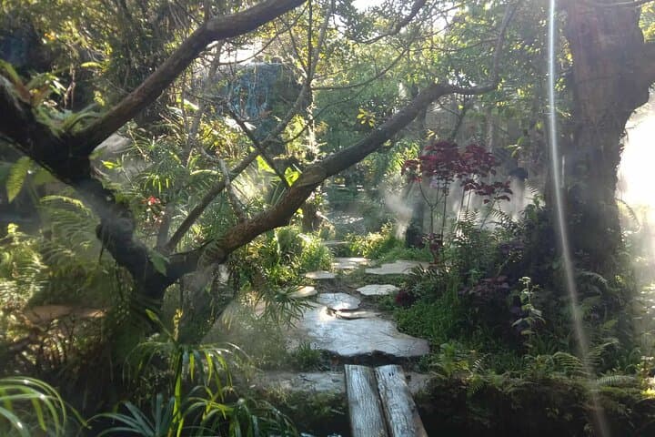 Chiang Mai Combo: Sticky Waterfall Climb & Ethical Elephant Sanctuary Day Tour photo 6
