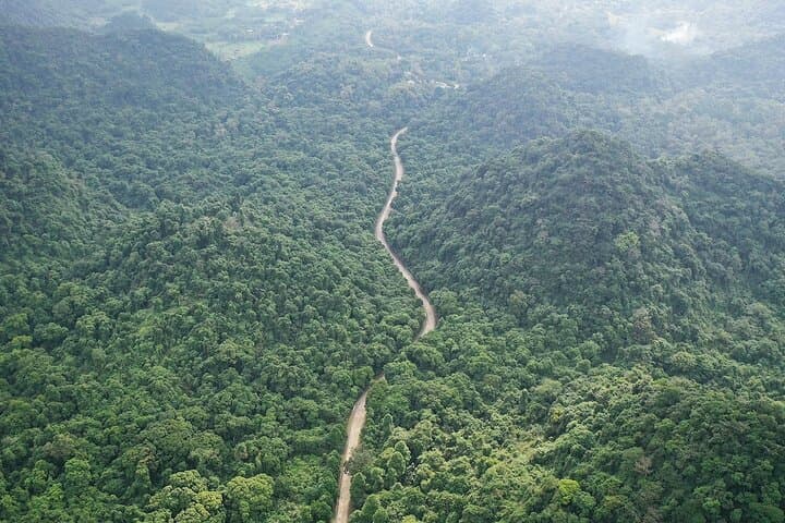 Cuc Phuong National Park: Primate Rescue, Ancient Caves & Forest Trails photo 3