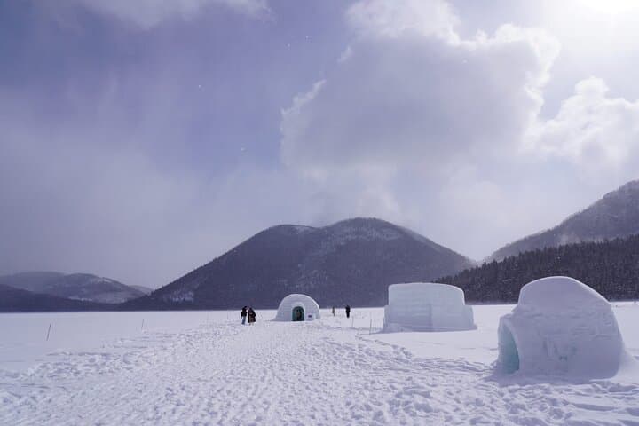 Winter Tokachi Sightseeing Taxi Day Trip from Obihiro — Shikaribetsu Ice Village & Birch Avenues