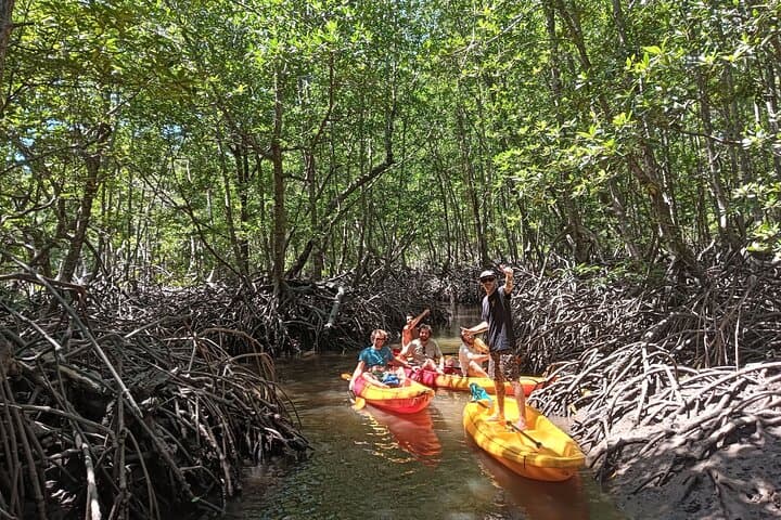Koh Yao Yai Mangrove Kayak: Village Life, Rubber Tapping & Secluded Beach Lunch photo 2