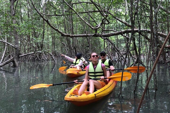 Koh Yao Yai Mangrove Kayak: Village Life, Rubber Tapping & Secluded Beach Lunch photo 3