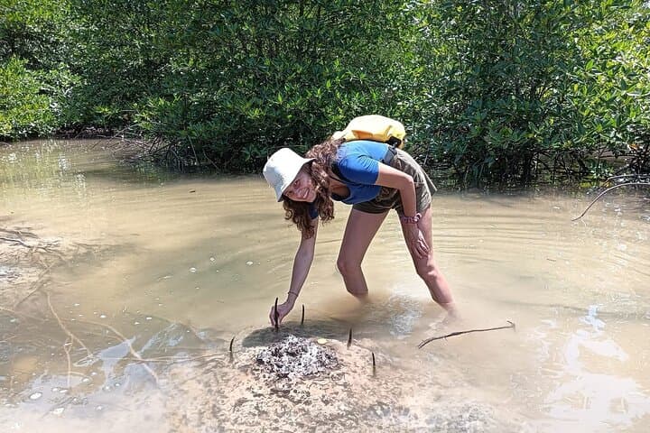 Koh Yao Yai Mangrove Kayak: Village Life, Rubber Tapping & Secluded Beach Lunch photo 5