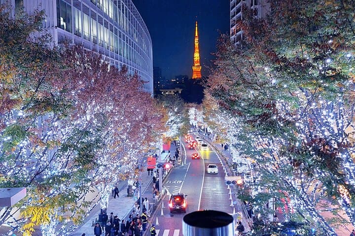 Tokyo Winter Illumination E-Bike Tour: Ride the City's Night Lights photo 2