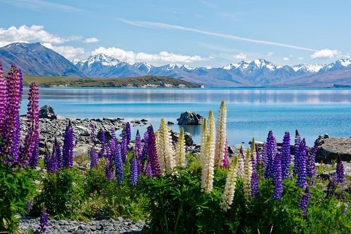 Christchurch to Queenstown via Lake Tekapo & Aoraki/Mount Cook: Scenic One-Way Drive photo 2