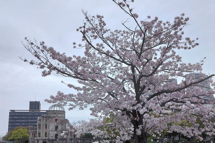 Hiroshima Peace Park & Miyajima Day Tour from City Center — Small-Group Car Pickup photo 2