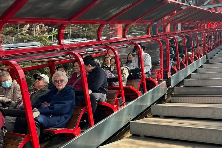 Blue Mountains Private Tour: Scenic World, Wildlife & Hidden Lookouts photo 5