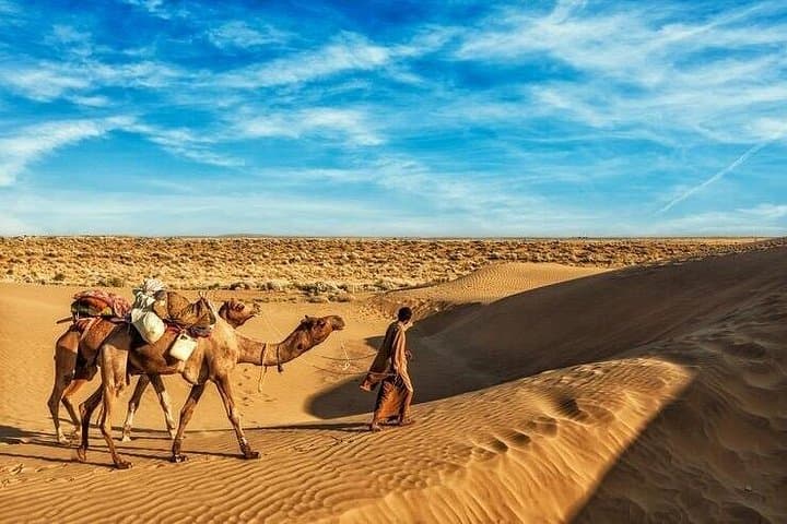 VIP Sunset Desert Safari in Dubai: Camel Rides, Dune Bashing & BBQ Under the Stars photo 2