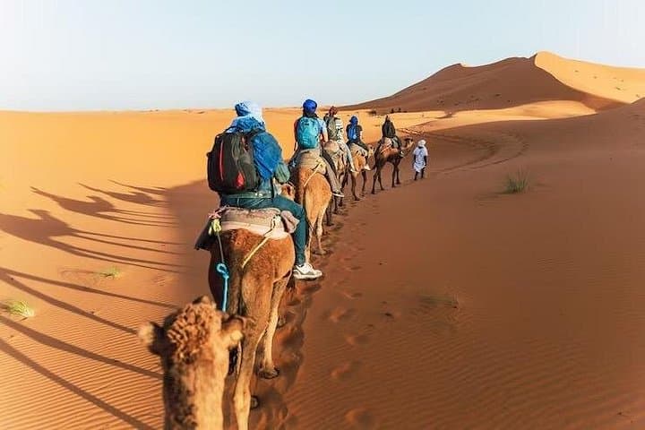 VIP Sunset Desert Safari in Dubai: Camel Rides, Dune Bashing & BBQ Under the Stars photo 3