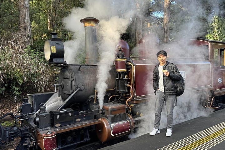 Puffing Billy Steam Train, Healesville Sanctuary & Yarra Valley Chocolaterie Day Trip
