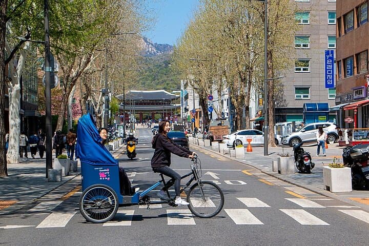 Bukchon Pedicab Heritage Tour and Dancheong Workshop in Seoul photo 2