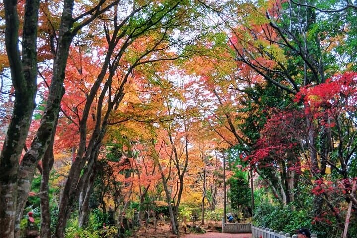 Mt. Takao Day Hike with Cable Car, Ramen and Tattoo-Friendly Hot Spring photo 3