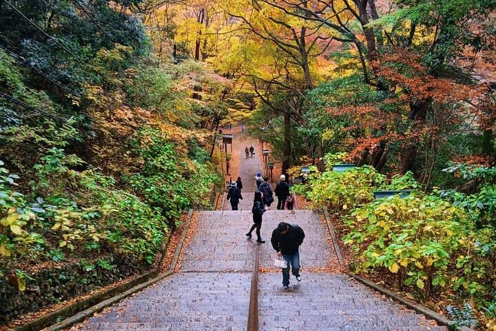 Mt. Takao Day Hike with Cable Car, Ramen and Tattoo-Friendly Hot Spring photo 6