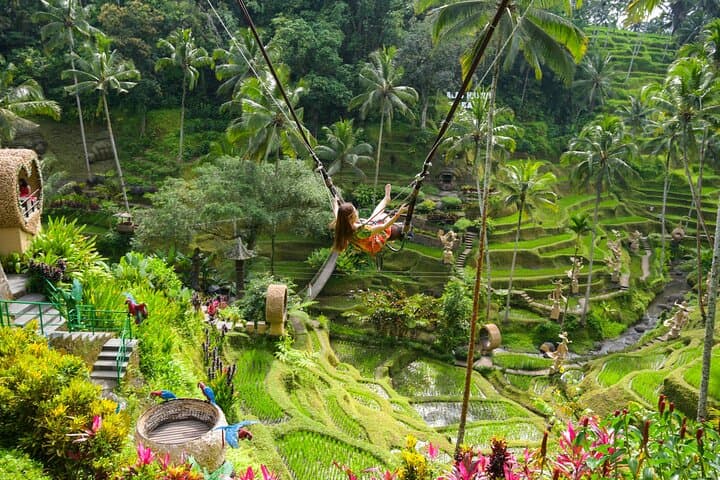 Ubud Full-Day Cultural Tour: Monkey Forest, Tegalalang Rice Terraces & Tirta Empul photo 2