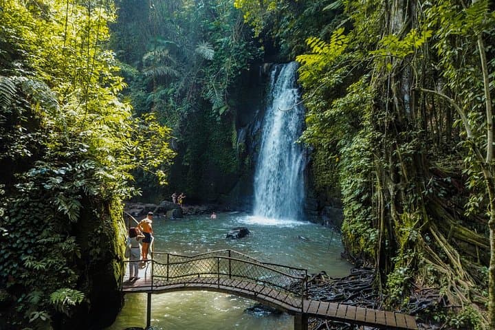 Ubud Full-Day Cultural Tour: Monkey Forest, Tegalalang Rice Terraces & Tirta Empul