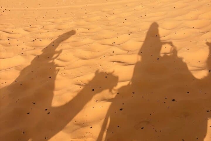 Abu Dhabi Morning Desert Safari: Dune Bashing, Camel Rides & Sandboarding photo 2