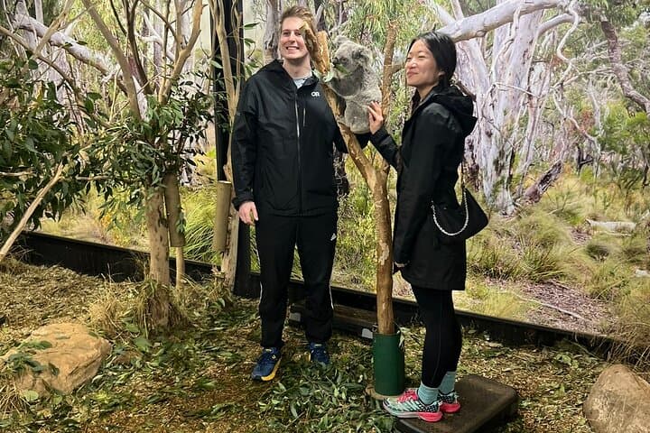 Blue Mountains Private Day Tour from Sydney — Scenic World, Echo Point & Leura photo 6