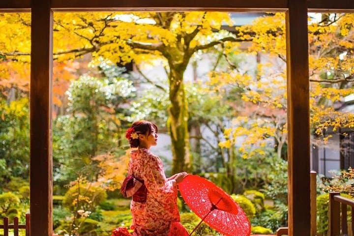 Sanzen-in & Arashiyama Day Trip: Bamboo Grove, Tenryu-ji and Ohara Gardens photo 1