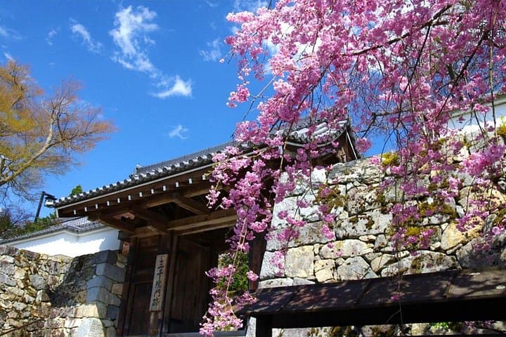 Sanzen-in & Arashiyama Day Trip: Bamboo Grove, Tenryu-ji and Ohara Gardens photo 3