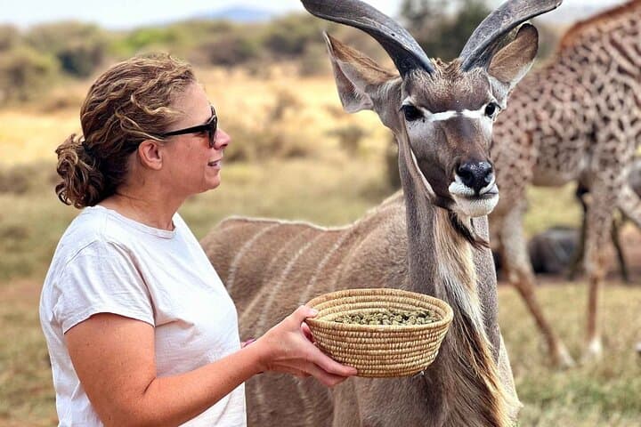 Arusha Serval Wildlife Sanctuary Tour — Hand-Feed Giraffes & Meet Servals