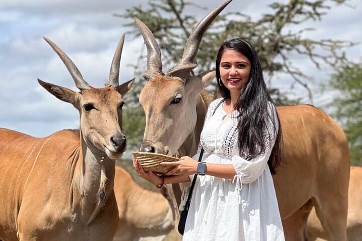 Arusha Serval Wildlife Sanctuary Tour — Hand-Feed Giraffes & Meet Servals photo 3